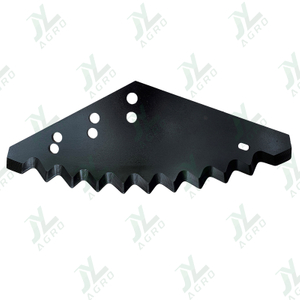 Falexin broadsword
