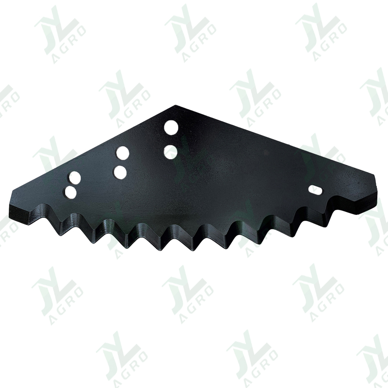 Falexin broadsword